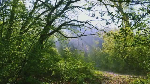 Родительский дом . смотреть онлайн