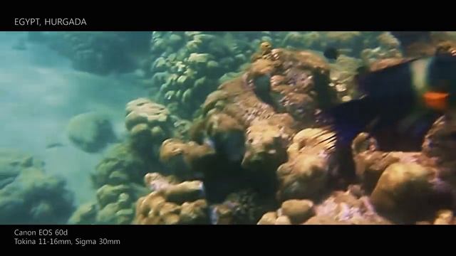 Под водой (Canon EOS 60d + Dicapac WP-S10 Test) смотреть онлайн