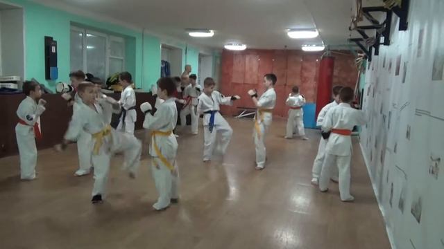Тренировка 27 ноября 2018 года. Группа №3 Киокусинкай Каратэ Климовск смотреть онлайн