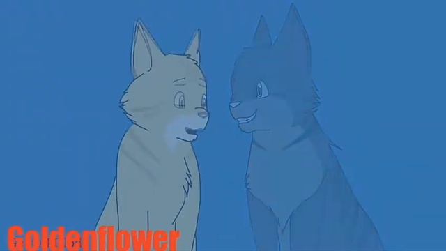 Коты-воители/Звездоцап и Златошейка/Давай уходи. смотреть онлайн