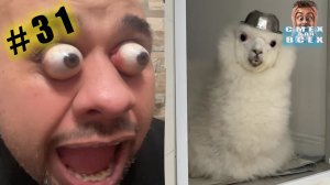 ПРИКОЛЫ 2024 СМЕШНЫЕ ВИДЕО ЧУДИКИ ИЗ ТИК ТОК №31