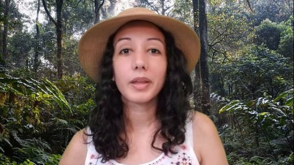 Bonobo Intelligence | Animal Amazement Season 2 Ep. 8