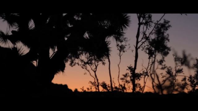 Desert Radio - Joshua Tree TImelapse смотреть онлайн