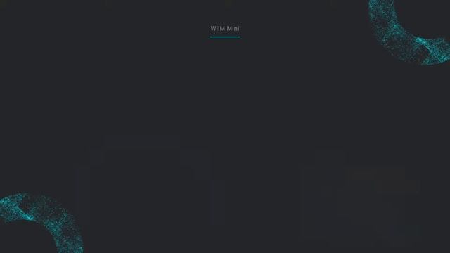 WiiM Mini Features смотреть онлайн