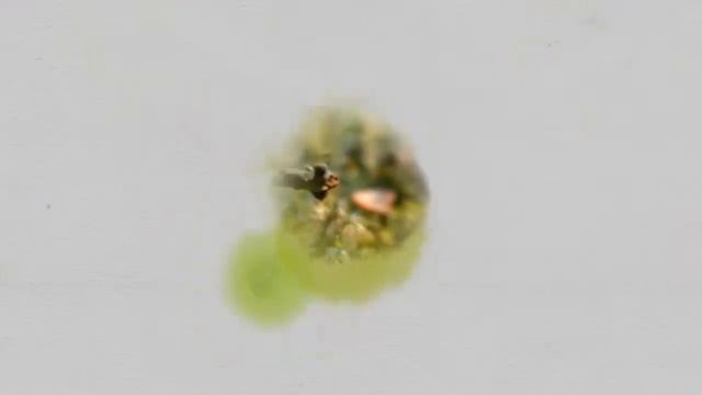 Urban Group: Город Набережных смотреть онлайн