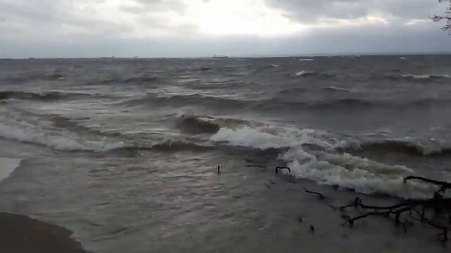 Мангровая скамья смотреть онлайн