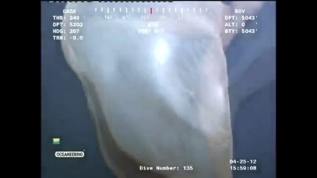 Подводное чудище. смотреть онлайн