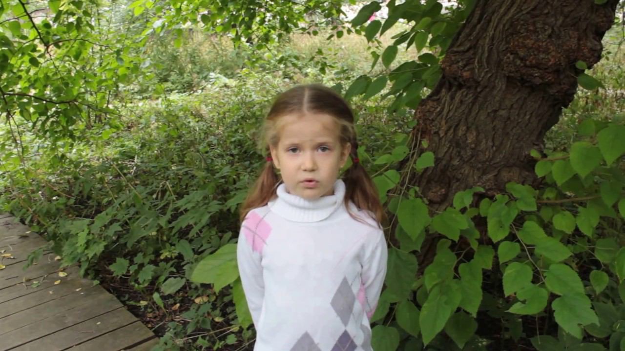 «Стрекоза и муравей» (Иван Андреевич Крылов) смотреть онлайн