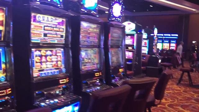 Разбила телефон, меряю купальники, хочу дорогие подарки, кормим игуану ♥ Lucky Lina смотреть онлайн