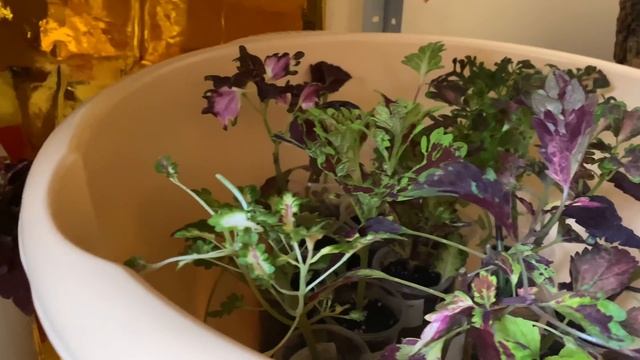 Разные мелочи которые делают мой дом уютным красивым / жизнь состоит из мелочей смотреть онлайн