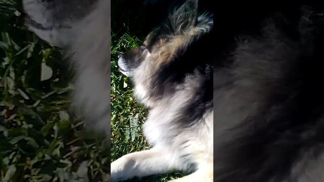 5 октября 2020 г. смотреть онлайн