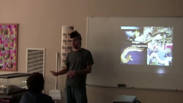 Blood & Short-tail python overview program Part 2 смотреть онлайн