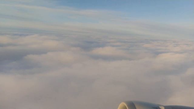 Moscow take-off, Airbus A320, Domodedovo airport (DME), Ural Airlines, Sochi flight смотреть онлайн