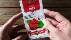 Редис Ребел ? Необыкновенный редис!