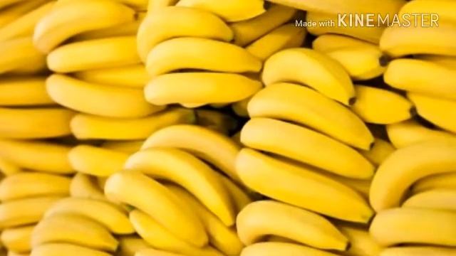 ?Какие фрукты МОЖНО и НЕЛЬЗЯ давать попугаям??|Гоша Гороша смотреть онлайн