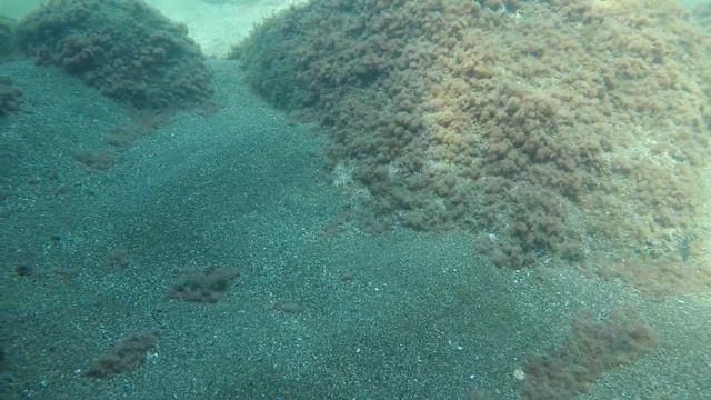 Термоклин смотреть онлайн