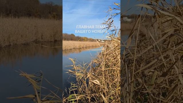 ? Главная тема вашего ноября ➡️ Ищите в комментарии свой месяц рождения и читайте смотреть онлайн