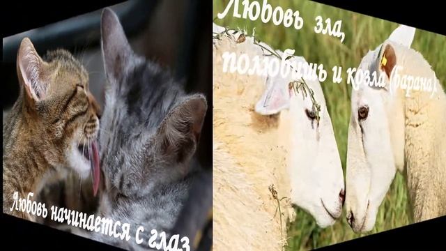 Красна наша речь поговоркою смотреть онлайн