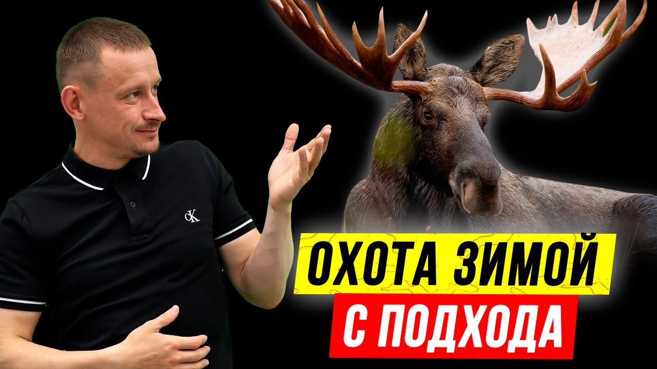 Лось с подхода зимой | Охота на ЛОСЯ ? смотреть онлайн