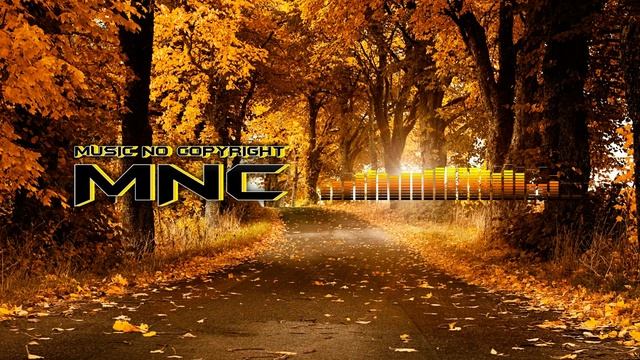 Elektronomia & RUD - Memory.avi