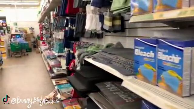 DOLLAR TREE SHOPPING!!! *THESE WILL MAKE YOUR HOUSE SMELL GOOD* SO MANY NEW FINDS!!! смотреть онлайн