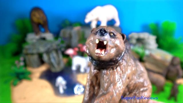 Big Cat Week 2020 - Zoo Animals - Tiger, White Tiger, Black Bear, Polar Bear, Grizzly Bear, Bear 13 смотреть онлайн