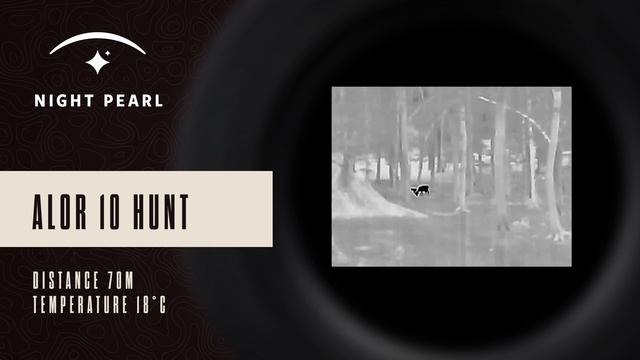 Night Pearl ALOR 10 HUNT - REAL VISION VIDEO смотреть онлайн
