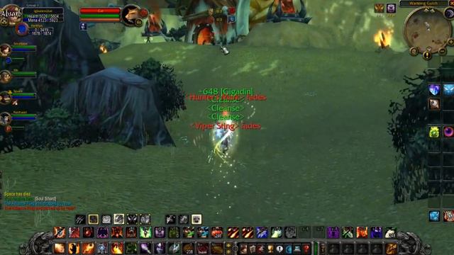 Destruction Warlock PvP Vanilla WoW Commentary - Roll a Destro Lock in Classic WoW for Huge Burst смотреть онлайн