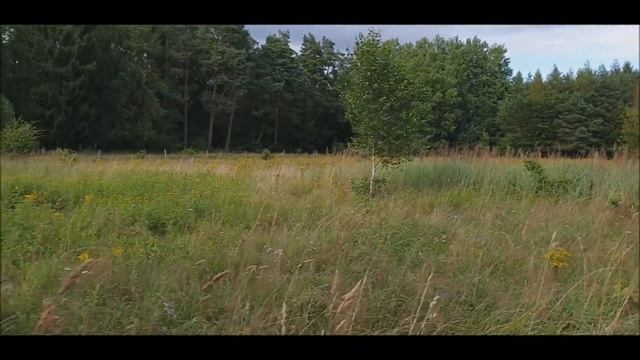 Стих для души!Август! смотреть онлайн