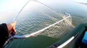 Судак на хеви джиг