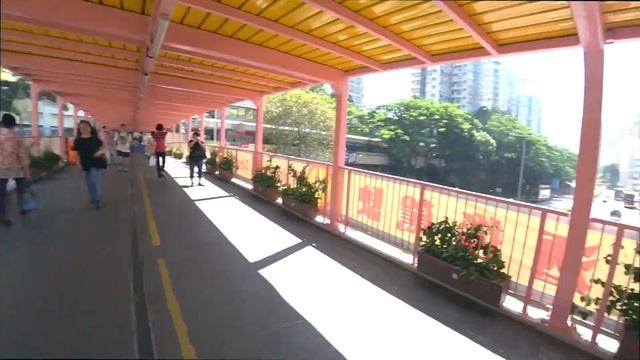 ГОНГ КОНГ HONGKONG Два дня не зря! Ocean park & Silka Hotel смотреть онлайн