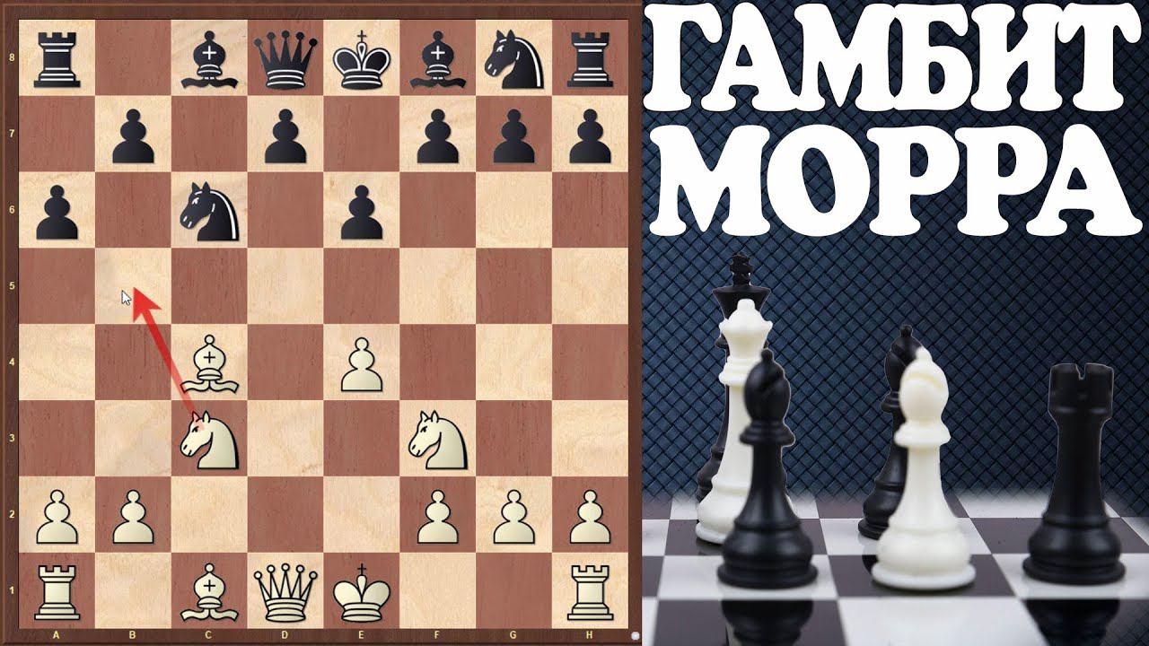 Главное противоядие от гамбита Морра! Сибирская ловушка и ходьба по минному полю. Дебютные лекции смотреть онлайн