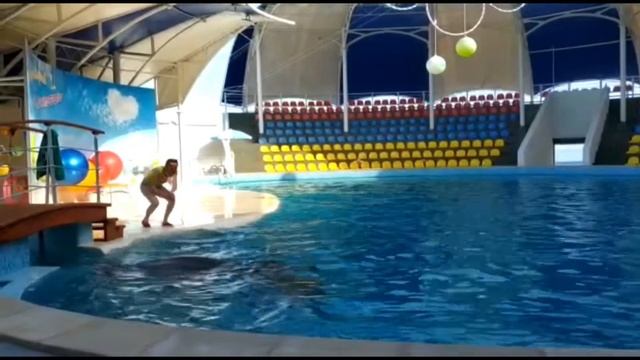 Дельфинарий Феодосия и Коктебель. Мое первое знакомство с аквалангом :) смотреть онлайн