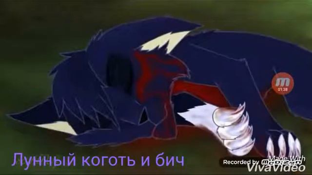 Бич и незнакомка:если бы не ты(брала по серии 2,2 жизнь бича) смотреть онлайн