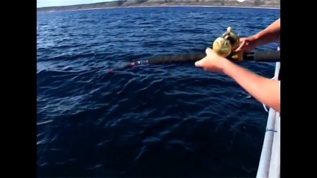 Fishing Kalbarri Duhfish,Balchin,Sambo Fishing WA Series 2 Ep 13 Part1 смотреть онлайн