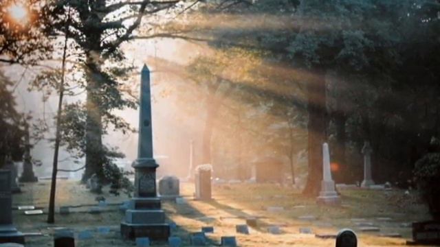 Woodland Cemetery TV Spot "Woodland is Forever" смотреть онлайн