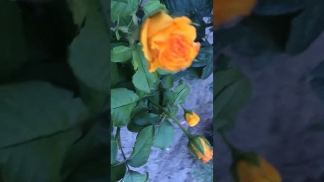 23 июня 2023 г. смотреть онлайн