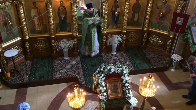 Освящение вербы в храме Александра Невского смотреть онлайн