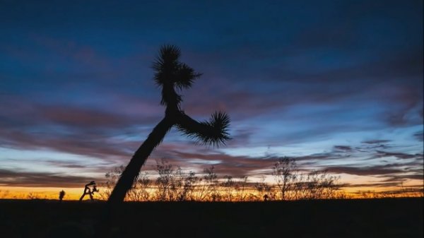 Far From ..............