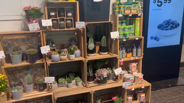 Grocery Stores | Houseplant Nursery | Plant Shopping Shenanigans | Wegman's | BJ's | Whole Foods смотреть онлайн