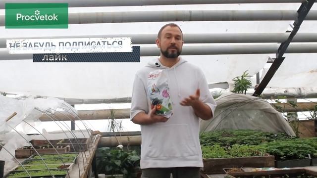 Лучшие органические удобрения для сада и огорода