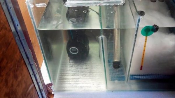 работа сампа