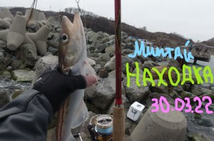 Рыбалка на минтая с берега Астафьева. 30.03.2022. Находка.