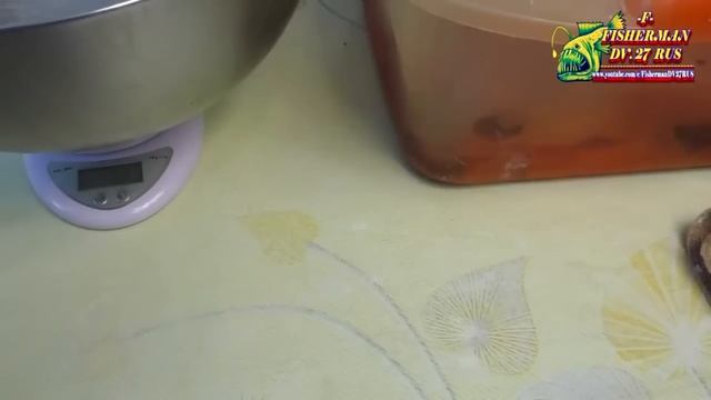 Веганские Ресторанчики и Кафе