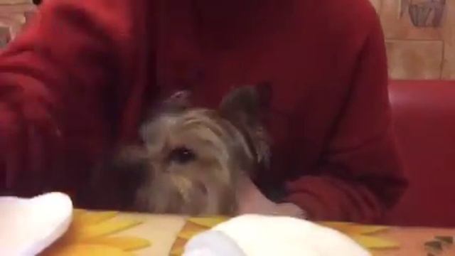 Уход за тимкой смотреть онлайн
