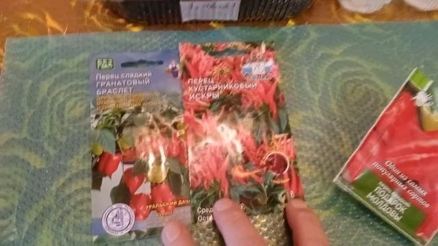 Обзор перцев которые сажаю на окне или балконе, мой опыт. смотреть онлайн