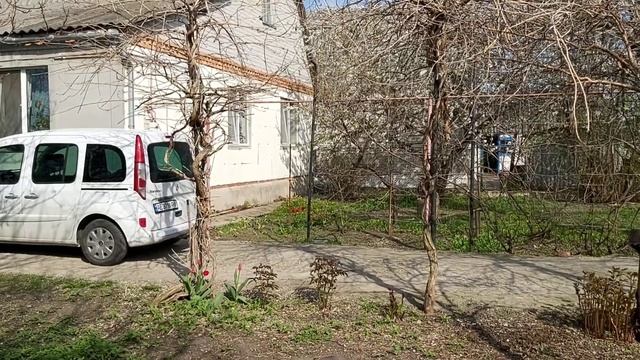 Кто куда, а мы купатся ? #ЧёрныйКоршун и #Курганник ныряют в холодной воде ? hawks swimming in wate смотреть онлайн