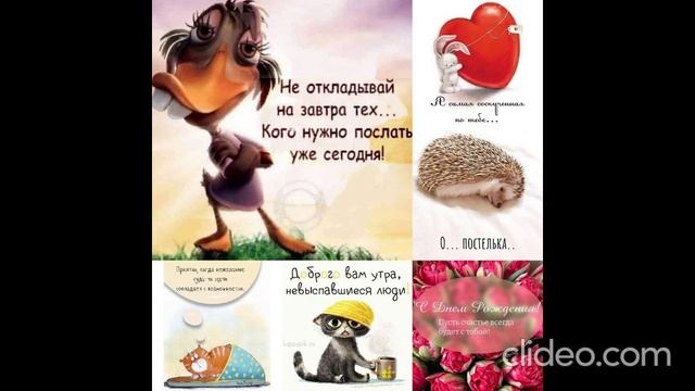 ночью 26.06 смотреть онлайн