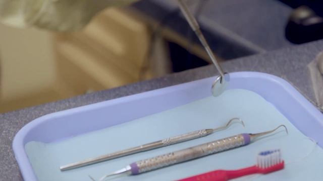 What to expect at your dentist visit | Boston Children’s Hospital смотреть онлайн