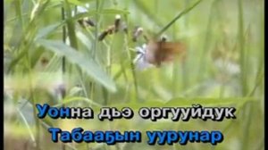 А5ам алааьа